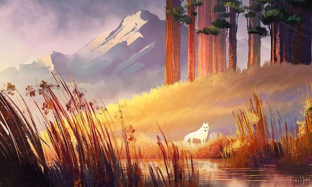 gallery-img